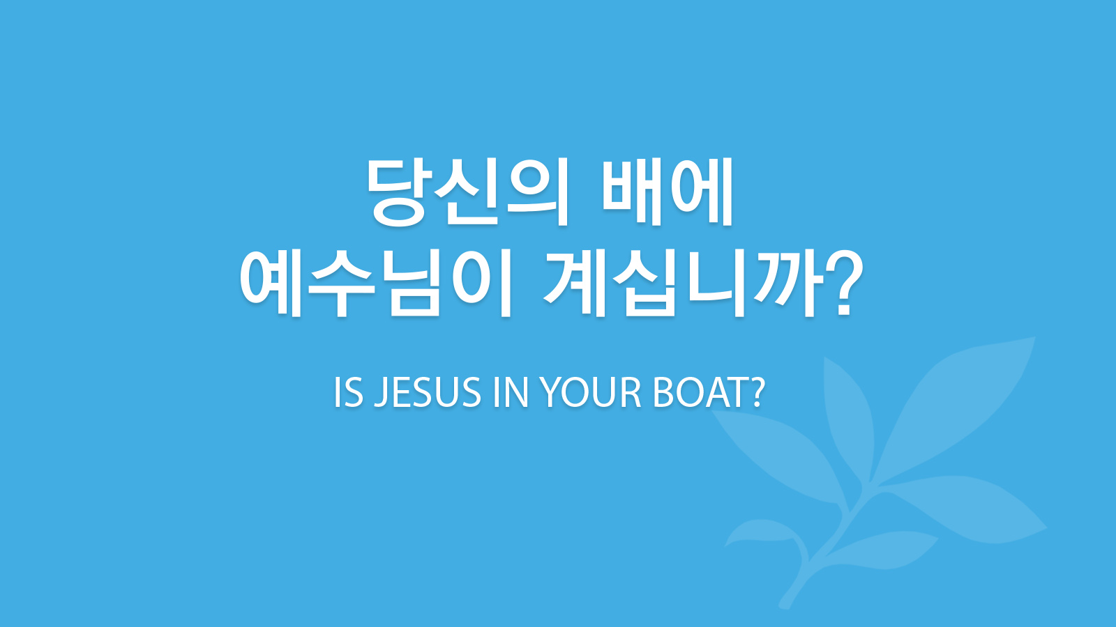 당신의 배에 예수님이 계십니까?