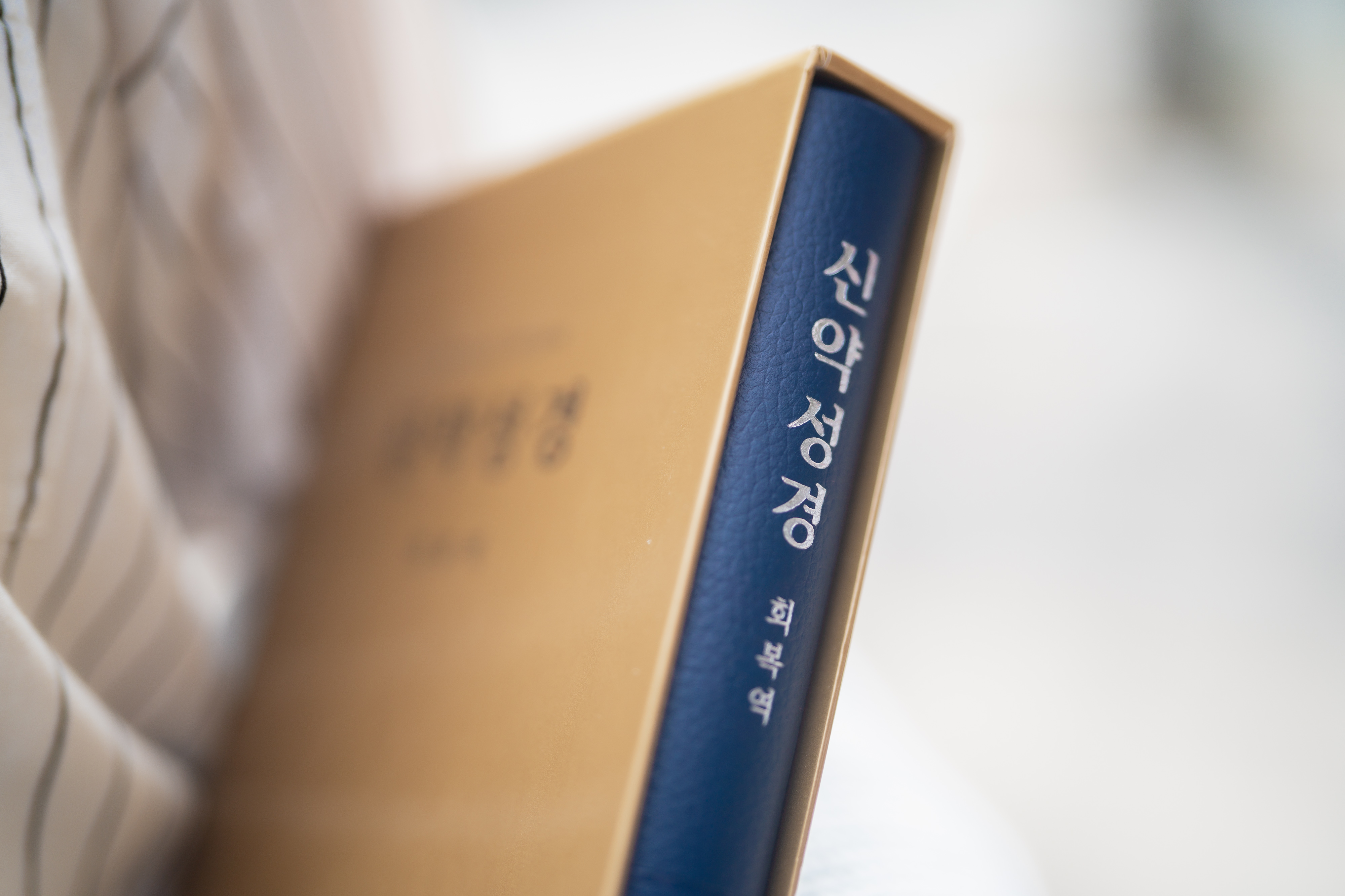 로마서 8장에서 ‘영을 따라 행하는 것’은 무엇을 의미합니까?